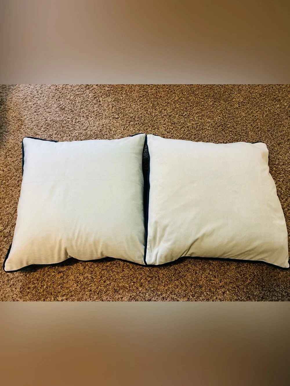 NWOT Monday Moose Throw Pillows 🫎